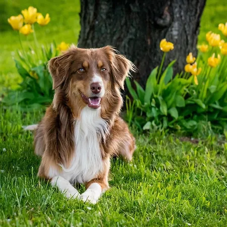 Furnished Sint Maartenszee Ferienhaus Sint Maartensvlotbrug