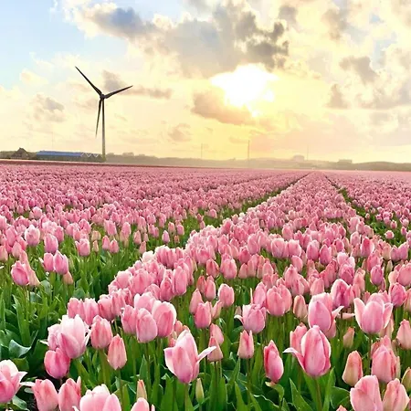 Сasa de vacaciones Furnished Sint Maartenszee Sint Maartensvlotbrug