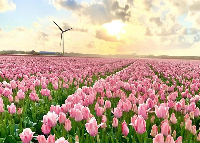 Furnished Sint Maartenszee Feriehus