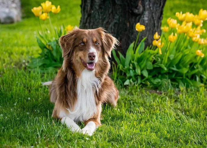 Furnished Sint Maartenszee Feriehus Sint Maartensvlotbrug